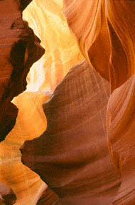 "Inner Landscape"