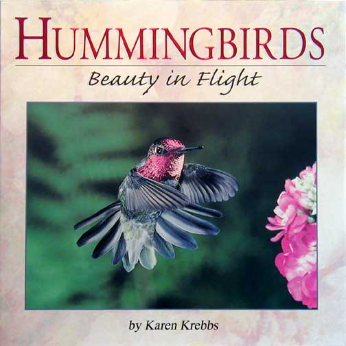 book report on the humming bird Find all available study guides and summaries for the humming bird tree by ian mcdonald the humming bird tree summary and analysis book report. book report on the humming bird Find all available study guides and summaries for the humming bird tree by ian mcdonald the humming bird tree summary and analysis book report.