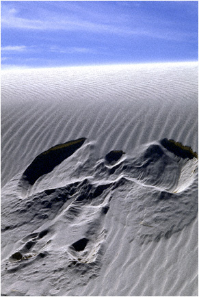 http://www.hummerlady.com/images/Sand.Angel.jpg