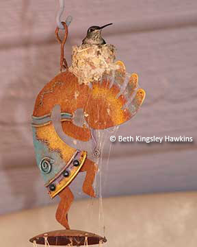 hummingbird nest on Kokopelli wind chime